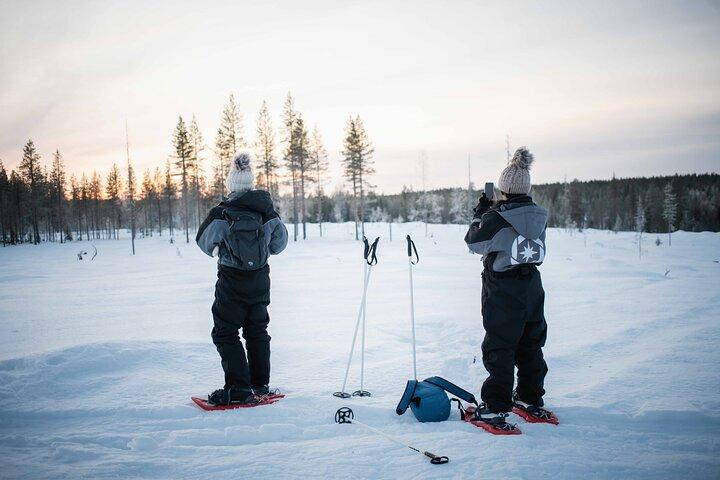 Half Day Snowshoe Hiking Adventure in Levi Lapland