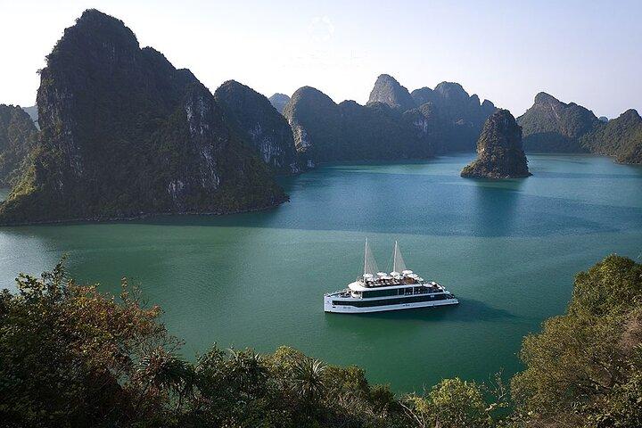 JADE SAILS Cruise The Best Experience in Halong Bay in One Day 