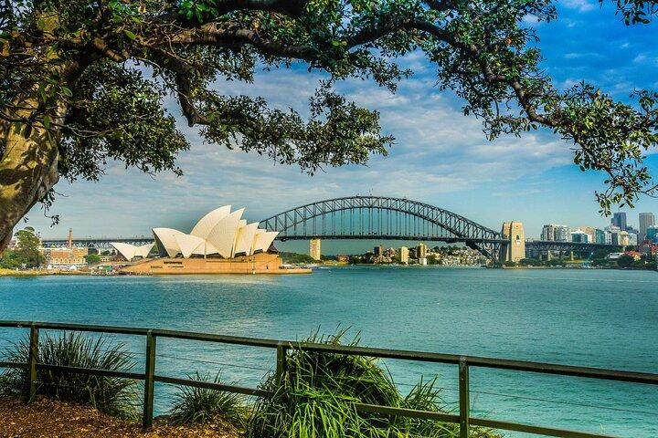Sydney Combo: Morning Sightseeing to Bondi & Harbour Lunch Cruise