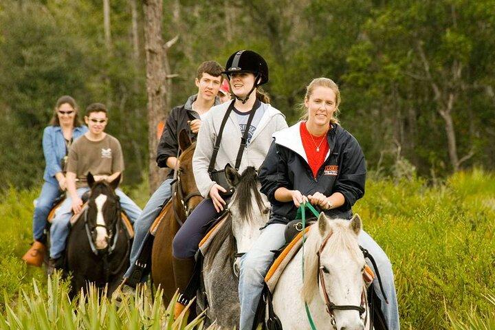 Kemer Horse Riding Tour for Animal Lovers