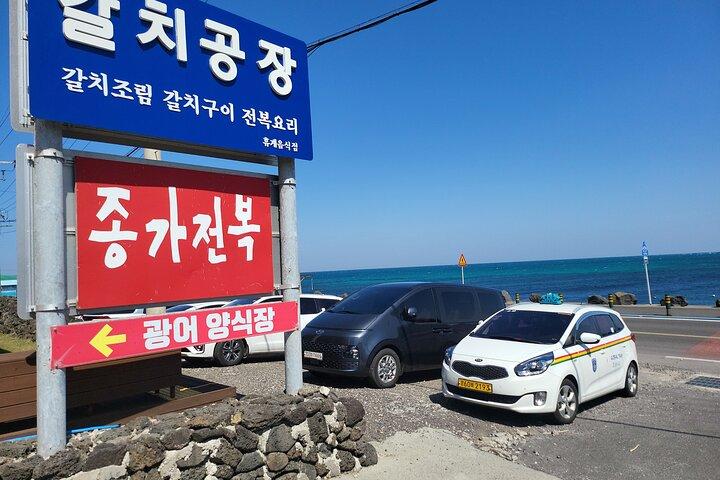 Private Taxi Transfer from Jeju City Downtown to Jeju Airport