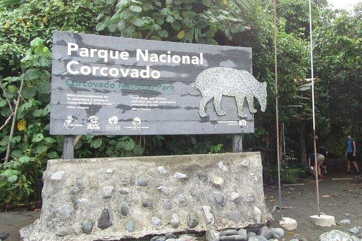 Corcovado National Park - Day Tour from Drake Bay