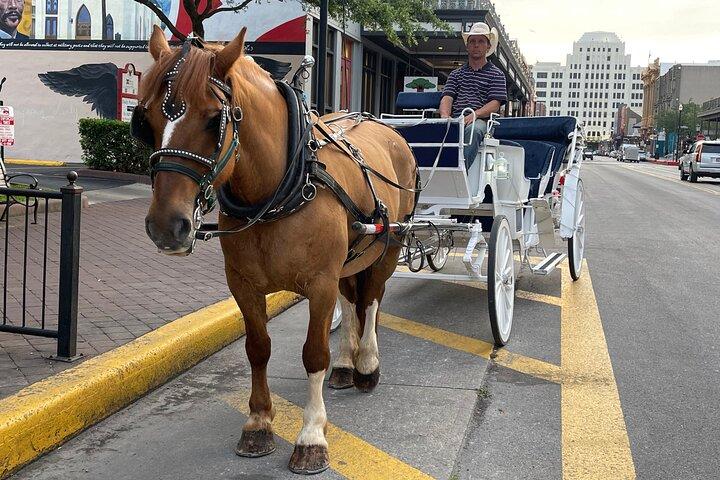 Private Carriage Tour of Galveston