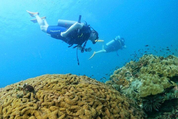 Scuba Diving for Certified Divers in Phu Quoc Island