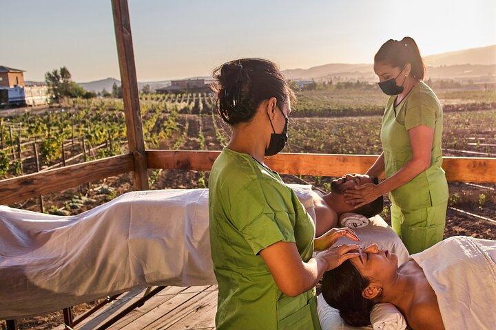 Relaxation experience amidst the vineyards of Valle de Guadalupe