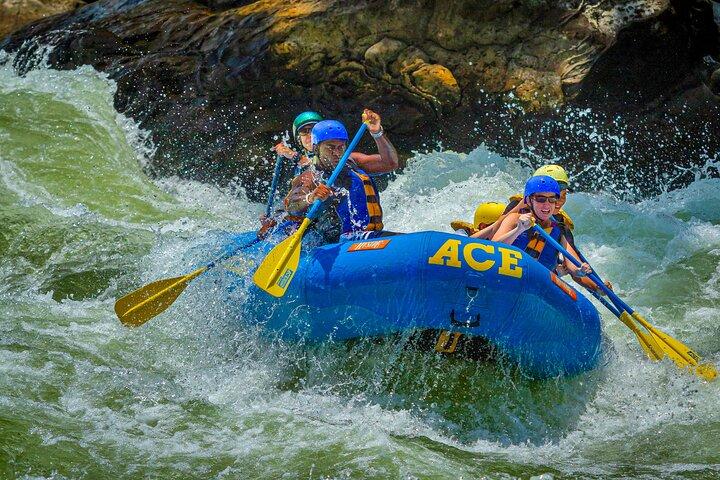New River Gorge Whitewater Rafting, WV - Lower New Full Day