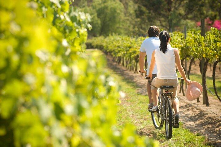 Private E-bike Tour of Orvieto and Bolsena with Wine Tasting