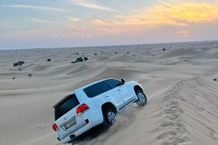 Abu Dhabi: Evening Desert Safari with Camel Ride, BBQ & Live Show