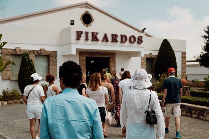 Wine tasting and winery tour at Fikardos Winery