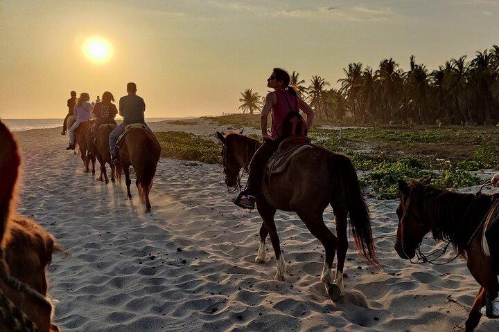 The Best Horseback Riding Trip: Wildlife, Rivers, Beach, Sunset..