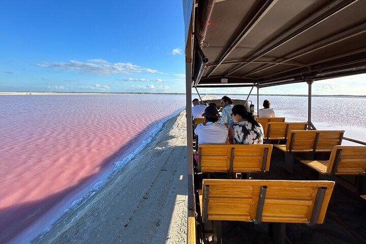 Admission Ticket to Safari in the Pink Lagoons of Las Coloradas