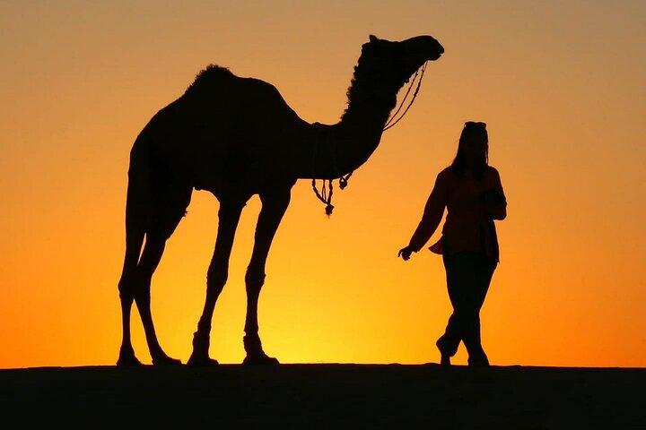 Pleasant Sunset Safari With Dinner On Dunes (From 2:00 PM to Approx. 10:00 PM)