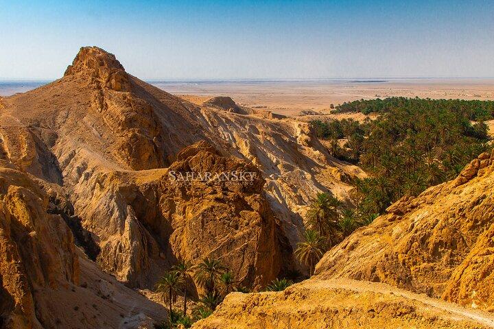 Tozeur Private Half-Day Tour: Tamerza, Chebika and Mides Canyons