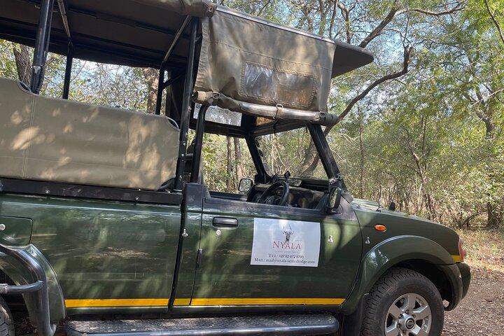 Half Day Kruger Safari Private Tour 