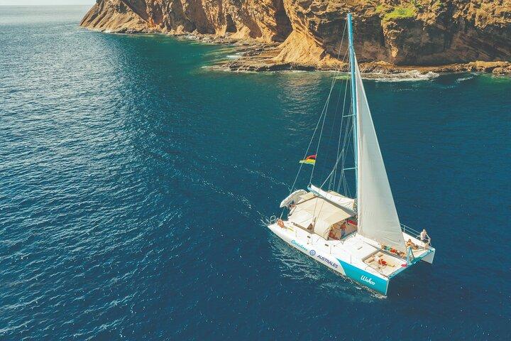 Fullday Catamaran Cruise to Islands & Snorkeling at Coin de MIre