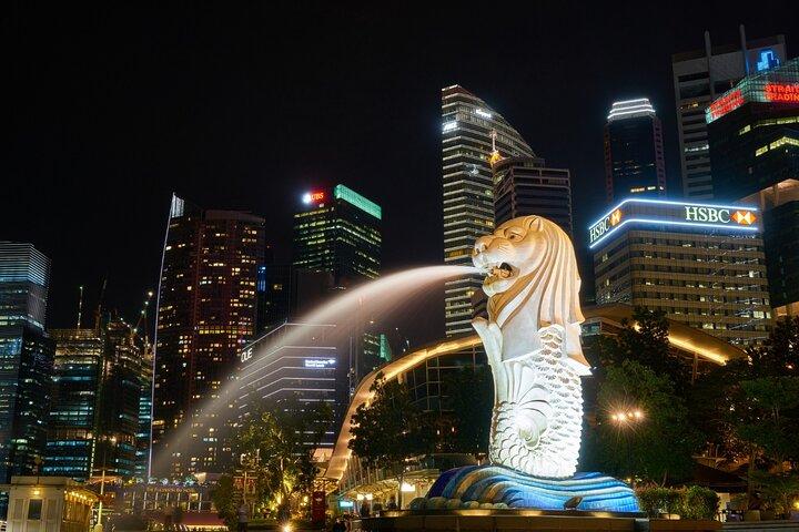 Singapore: 4 Hours - Private Car or Minibus Rental with Driver