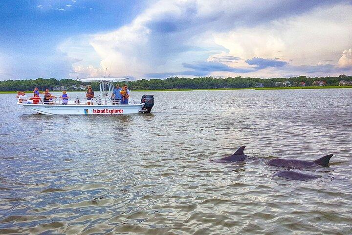 Two Hour Dolphin and Nature Tour