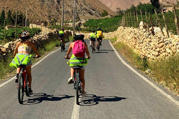 Elqui Valley by bike