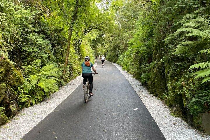 Guided Bike Ride: Exploring the Limerick Greenway