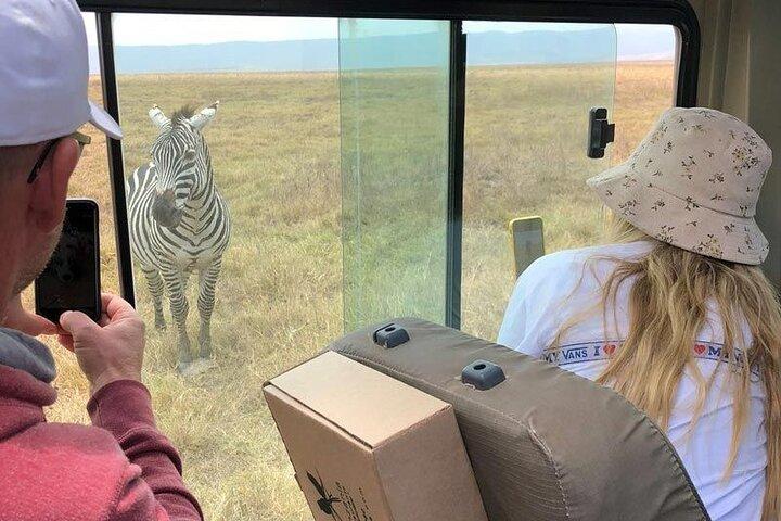 2 Days Private Serengeti Safari Tour