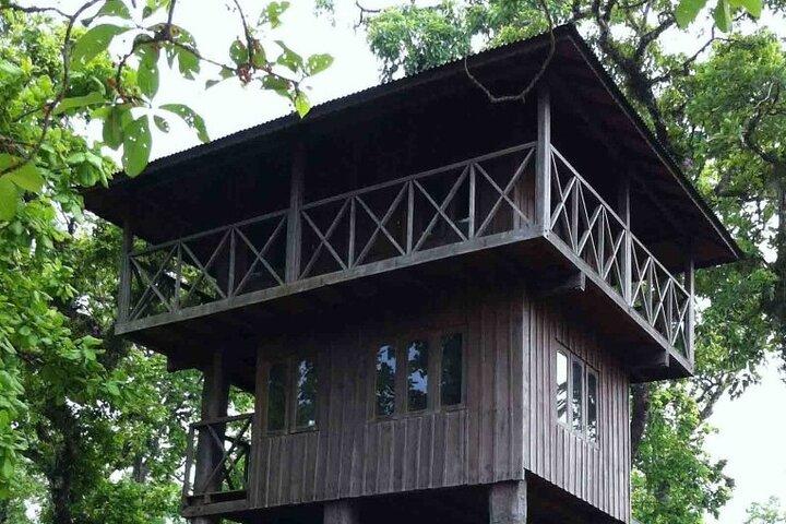3-Days Tower Night Stay inside Jungle Tour