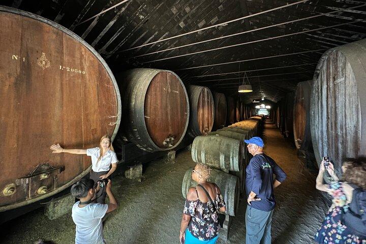 Private tour wine tasting in Setubal