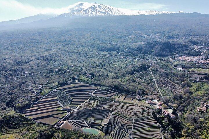 Etna panoramic private tour+Wine taste&food combination(AMAZING)