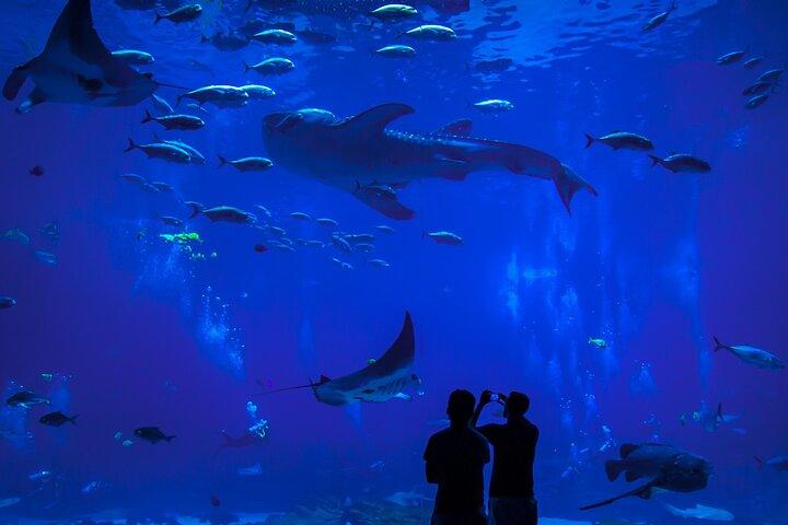 Mazatlan City Tour & Aquarium