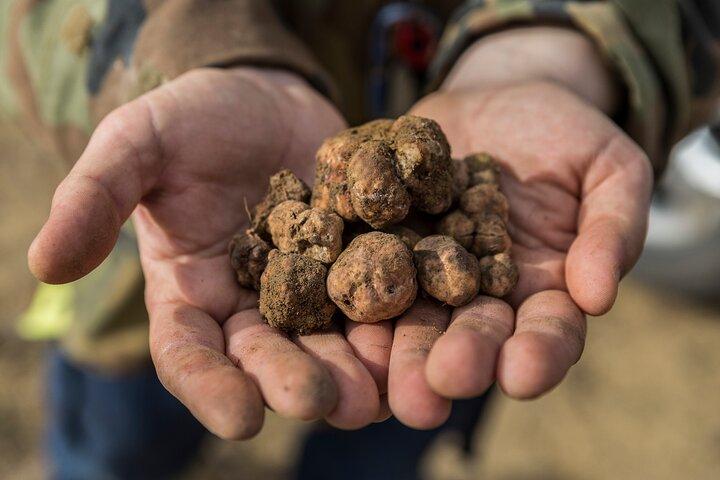 Truffle Hunting and Cooking Class