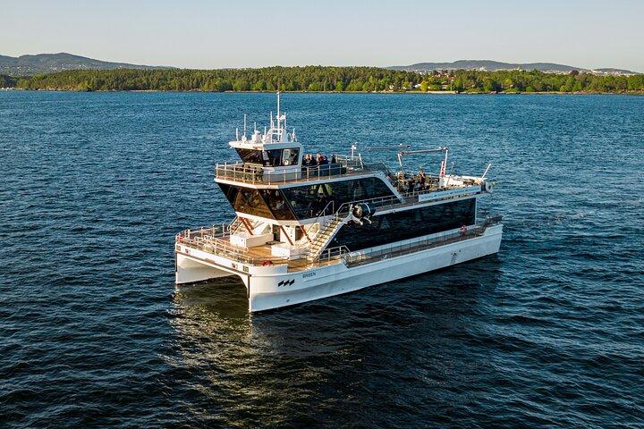 Guided Oslo Fjord Cruise by Silent Electric Catamaran