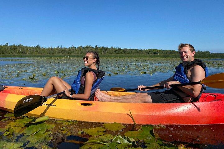 Wetlands Kayak Tour 