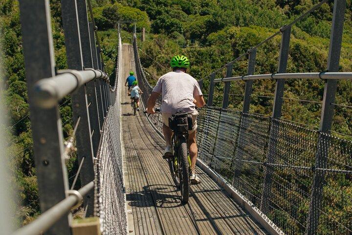 Remutaka Rail Trail Mountain Bike Explorer Cycle Tour