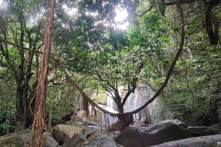 Borneo Native Odyssey: Annah Rais Longhouse & Bengoh Waterfalls