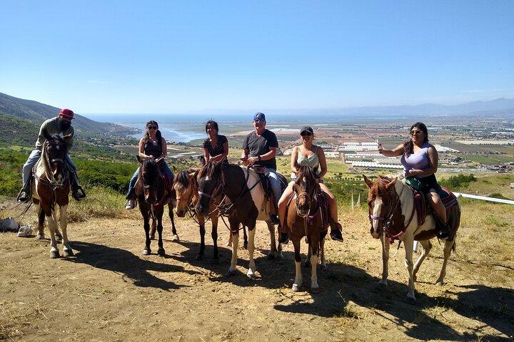Desert Peaks on Horseback, Exploring Mountain Trails of Ensenada