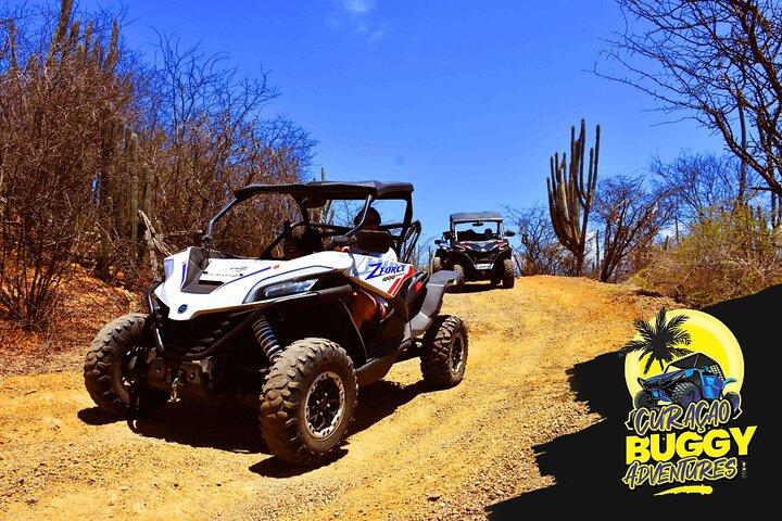 2-Hour Buggy Adventure Tour in Curacao