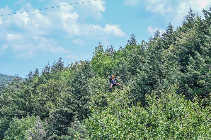 Zipline Canopy Activity Admission at Bristol Mountain