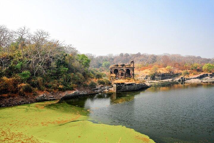 Half Day Private Trekking Tour to the Ranthambore Fort