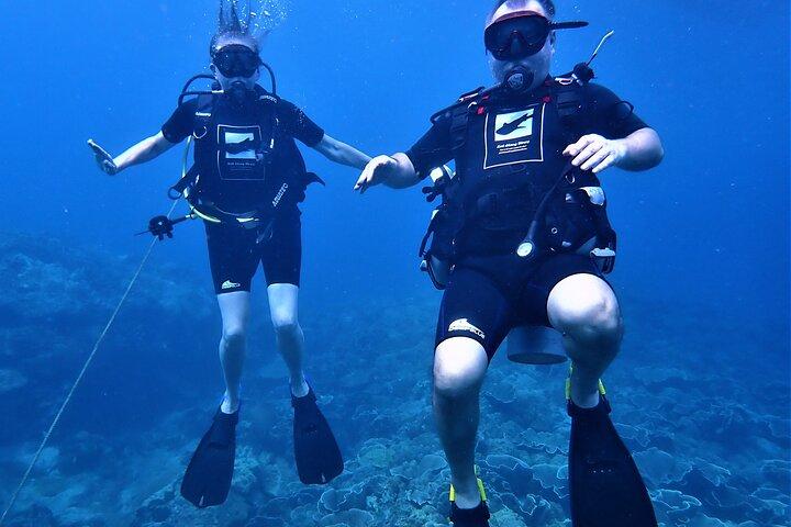 PADI Discover Scuba Dive Experience