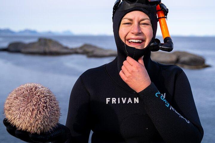 Beginner's Introduction To Freediving