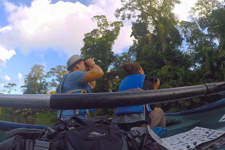 Half-Day / Canoe and Hike in to Tortuguero National Park 