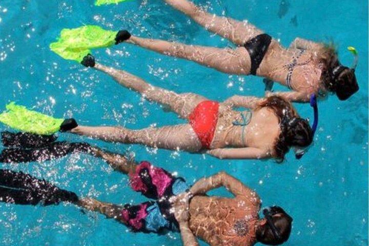 Islamorada: Snorkeling Experience 