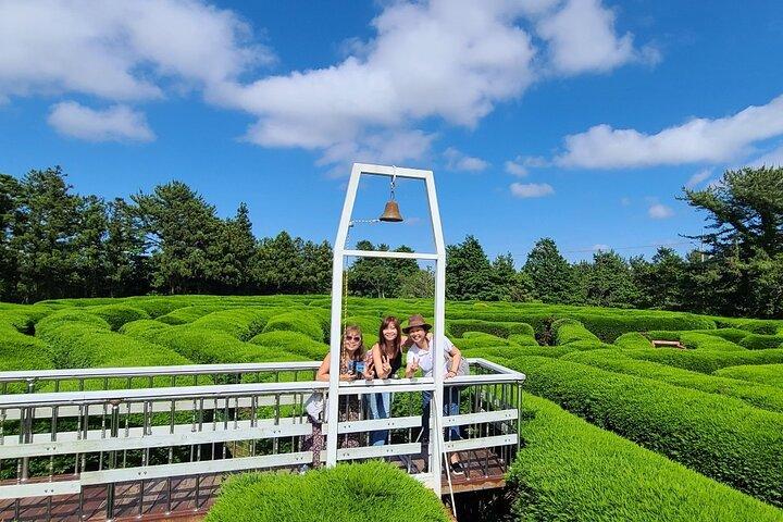 2-Day Private Taxi Day Tour in Jeju Island