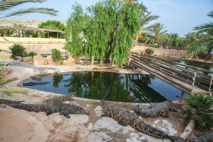 4-hour Tour with Crocodile Encounter in Djerba Island 