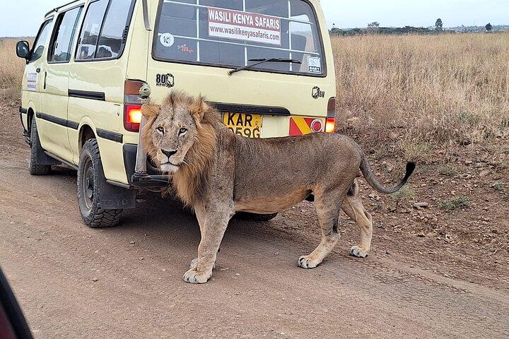 Nairobi national park drive 