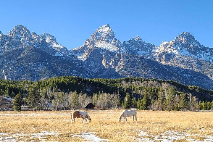 5-day In-Depth Yellowstone and Grand Teton National Park Tour