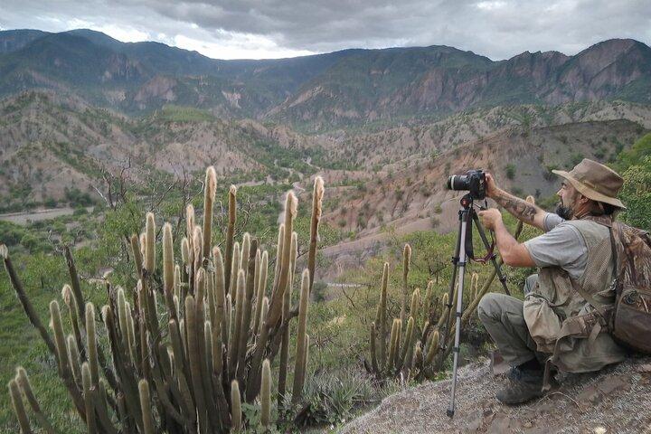 Plants and Habitats in the Elbow of the Andes