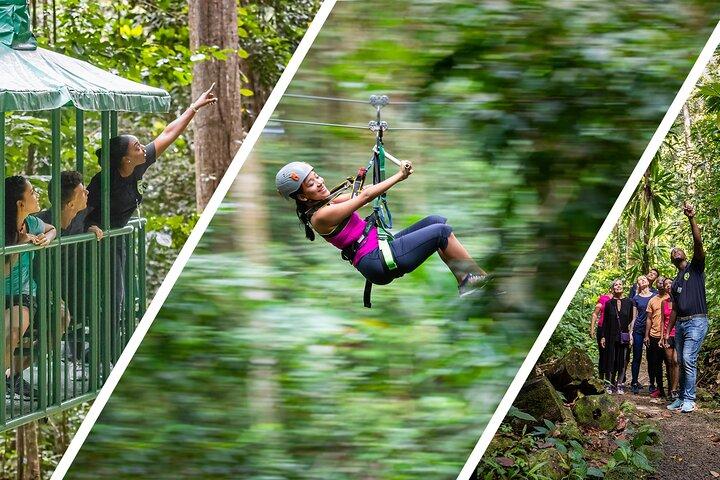 St Lucia Ultimate 3: Aerial Tram, Zipline and Hiking at Rainforest Adventures