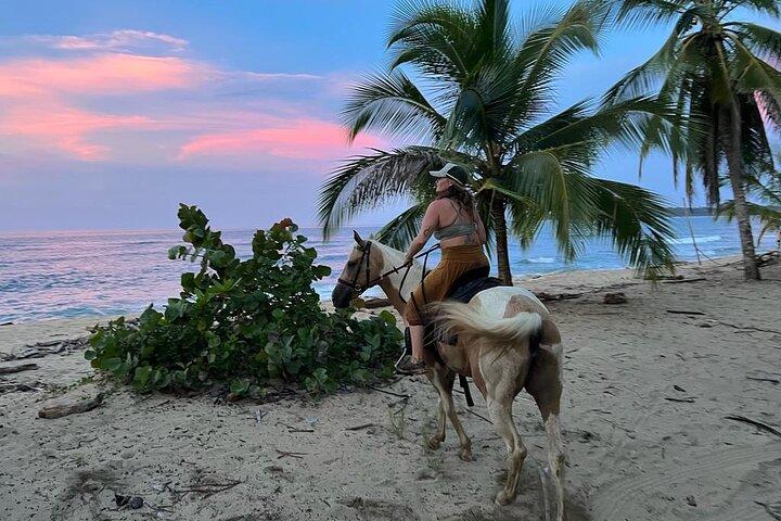 2 Hour Private Beach Horse Back Riding in Puerto Viejo