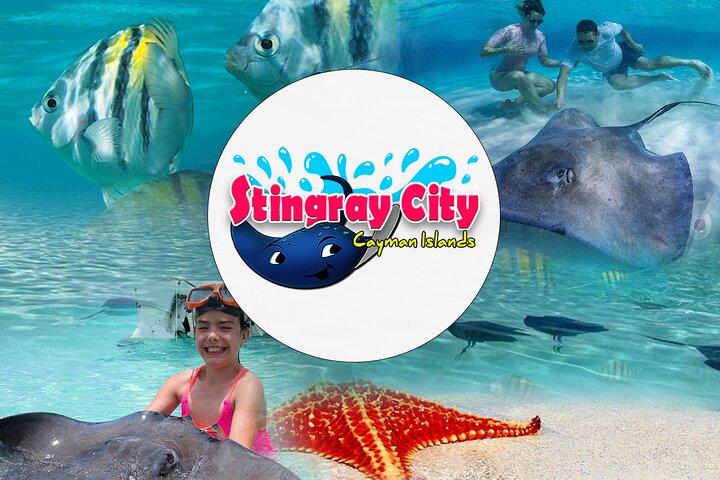 Starfish and Stingray City Fun Tour with Reef Snorkeling- 3 stops