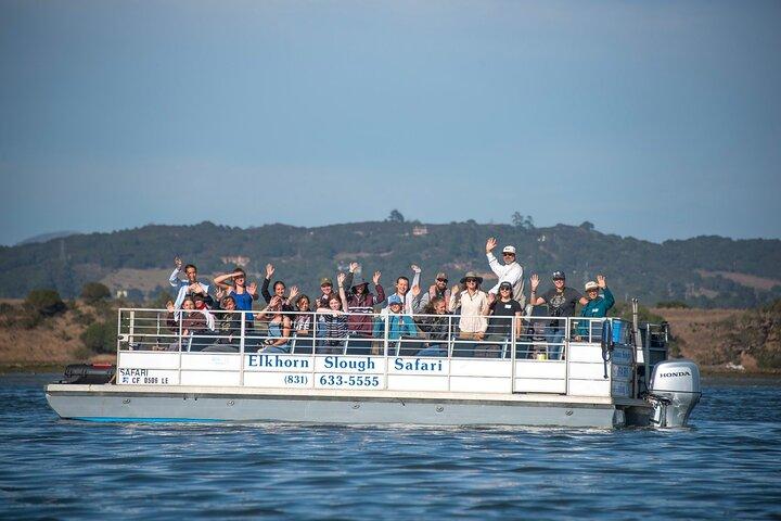 Wildlife Safari Boat Tour in Scenic Monterey Bay Wetland